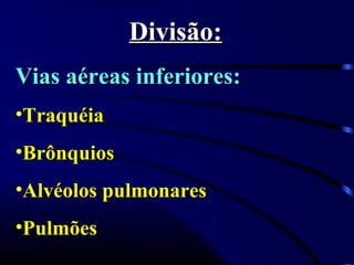 Divisão:Divisão:
Vias aéreas inferiores:Vias aéreas inferiores:
•TraquéiaTraquéia
•BrônquiosBrônquios
•Alvéolos pulmonaresAlvéolos pulmonares
•PulmõesPulmões
 