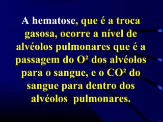 A hematose, que é a troca
gasosa, ocorre a nível de
alvéolos pulmonares que é a
passagem do O² dos alvéolos
para o sangue, e o CO² do
sangue para dentro dos
alvéolos pulmonares.
 