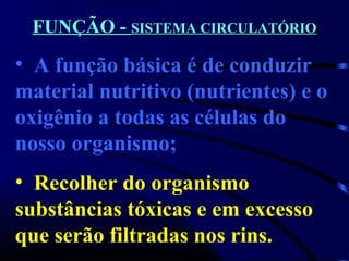 FUNÇÃO -FUNÇÃO - SISTEMA CIRCULATÓRIOSISTEMA CIRCULATÓRIO
• A função básica é de conduzir
material nutritivo (nutrientes) e o
oxigênio a todas as células do
nosso organismo;
• Recolher do organismo
substâncias tóxicas e em excesso
que serão filtradas nos rins.
 