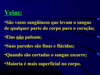 Veias:
•São vasos sangüíneos que levam o sangue
de qualquer parte do corpo para o coração;
•Elas não pulsam;
•Suas paredes são finas e flácidas;
•Quando são cortadas o sangue escorre;
•Maioria é mais superficial no corpo.
 