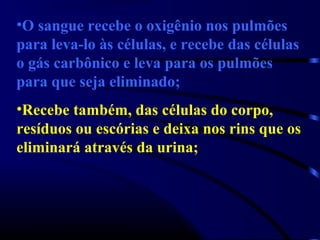 •O sangue recebe o oxigênio nos pulmões
para leva-lo às células, e recebe das células
o gás carbônico e leva para os pulmões
para que seja eliminado;
•Recebe também, das células do corpo,
resíduos ou escórias e deixa nos rins que os
eliminará através da urina;
 