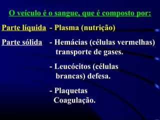 O veículo é o sangue, que é composto por:
Parte líquida - Plasma (nutrição)
Parte sólida - Hemácias (células vermelhas)
transporte de gases.
- Leucócitos (células
brancas) defesa.
- Plaquetas
Coagulação.
 