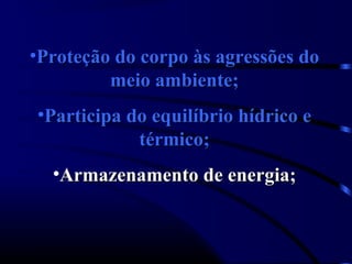 •Proteção do corpo às agressões doProteção do corpo às agressões do
meio ambiente;meio ambiente;
•Participa do equilíbrio hídrico eParticipa do equilíbrio hídrico e
térmico;térmico;
•Armazenamento de energia;Armazenamento de energia;
 