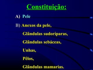 Constituição:Constituição:
A)A) PelePele
B)B) Anexos da pele,Anexos da pele,
Glândulas sudoríparas,Glândulas sudoríparas,
Glândulas sebáceas,Glândulas sebáceas,
Unhas,Unhas,
Pêlos,Pêlos,
Glândulas mamarias.Glândulas mamarias.
 