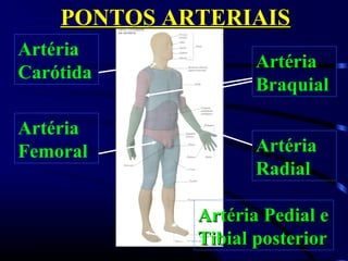 PONTOS ARTERIAISPONTOS ARTERIAIS
Artéria
Carótida
Artéria
Femoral Artéria
Radial
Artéria
Braquial
Artéria Pedial eArtéria Pedial e
Tibial posteriorTibial posterior
 