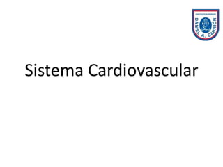 Sistema Cardiovascular
 