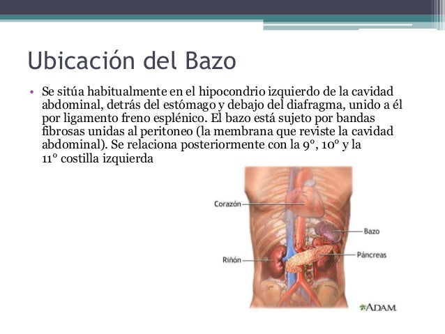 Detras de la universidad 6