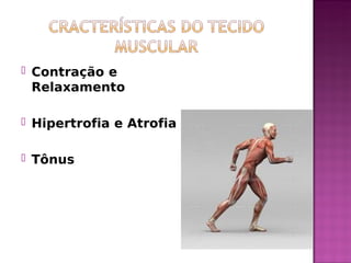  Contração e
Relaxamento
 Hipertrofia e Atrofia
 Tônus
 
