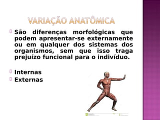  São diferenças morfológicas que
podem apresentar-se externamente
ou em qualquer dos sistemas dos
organismos, sem que isso traga
prejuízo funcional para o indivíduo.
 Internas
 Externas
 