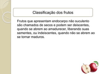 Classificação dos frutos
Frutos que apresentam endocarpo não suculento
são chamados de secos e podem ser deiscentes,
quando se abrem ao amadurecer, liberando suas
sementes, ou indeiscentes, quando não se abrem ao
se tornar maduros.
 