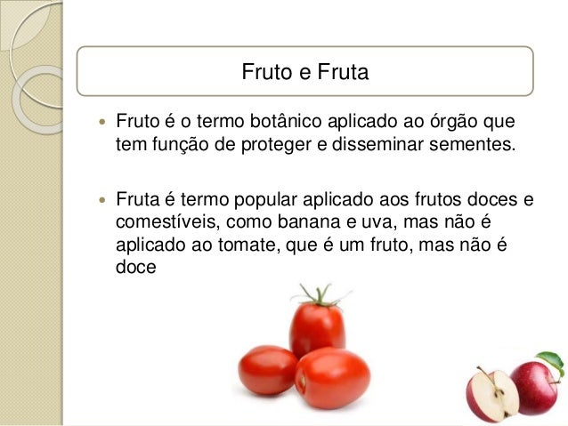 Qual A Diferença Entre Fruto E Fruto – BEPNV