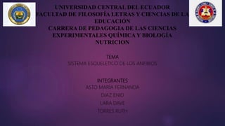 UNIVERSIDAD CENTRAL DEL ECUADOR
FACULTAD DE FILOSOFÍA LETRAS Y CIENCIAS DE LA
EDUCACIÓN
CARRERA DE PEDAGOGIA DE LAS CIENCIAS
EXPERIMENTALES QUÍMICA Y BIOLOGÍA
NUTRICION
TEMA
SISTEMA ESQUELETICO DE LOS ANFIBIOS
INTEGRANTES
ASTO MARÍA FERNANDA
DIAZ ENID
LARA DAVE
TORRES RUTH
 