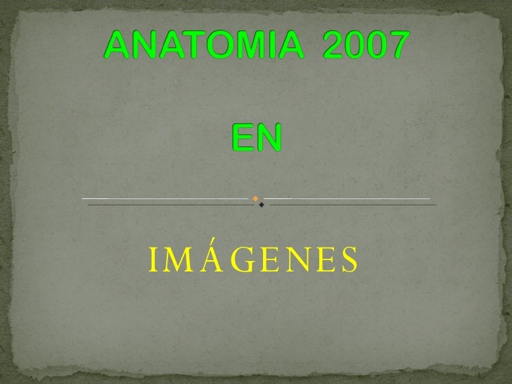 IMÁGENES 