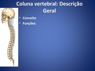 Coluna vertebral: Descrição
Geral
• Conceito
• Funções:

 