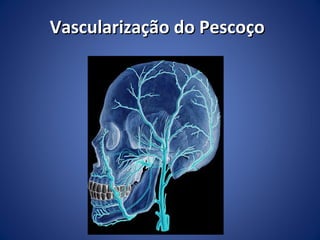 Vascularização do Pescoço

 