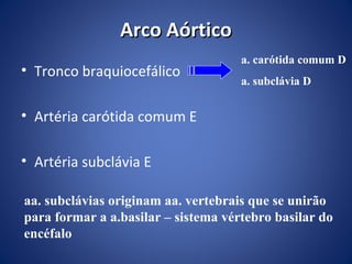 Arco Aórtico
• Tronco braquiocefálico

a. carótida comum D
a. subclávia D

• Artéria carótida comum E
• Artéria subclávia E
aa. subclávias originam aa. vertebrais que se unirão
para formar a a.basilar – sistema vértebro basilar do
encéfalo

 