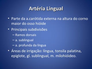 Artéria Lingual
• Parte da a.carótida externa na altura do corno
maior do osso hióide
• Principais subdivisões
– Ramos dorsais
– a. sublingual
– a. profunda da língua

• Áreas de irrigação: língua, tonsila palatina,
epiglote, gl. sublingual, m. milohióideo.

 