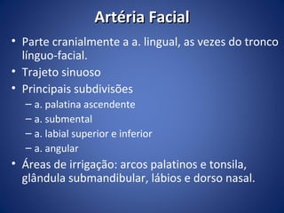 Artéria Facial
• Parte cranialmente a a. lingual, as vezes do tronco
línguo-facial.
• Trajeto sinuoso
• Principais subdivisões
– a. palatina ascendente
– a. submental
– a. labial superior e inferior
– a. angular

• Áreas de irrigação: arcos palatinos e tonsila,
glândula submandibular, lábios e dorso nasal.

 