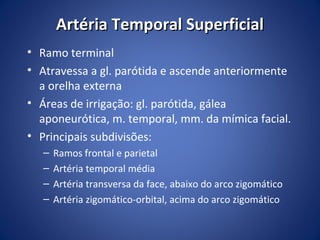 Artéria Temporal Superficial
• Ramo terminal
• Atravessa a gl. parótida e ascende anteriormente
a orelha externa
• Áreas de irrigação: gl. parótida, gálea
aponeurótica, m. temporal, mm. da mímica facial.
• Principais subdivisões:
–
–
–
–

Ramos frontal e parietal
Artéria temporal média
Artéria transversa da face, abaixo do arco zigomático
Artéria zigomático-orbital, acima do arco zigomático

 
