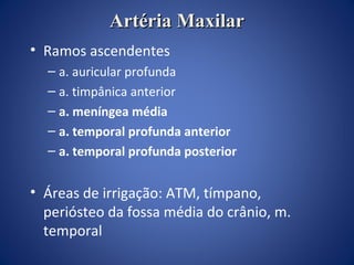 Artéria Maxilar
• Ramos ascendentes
– a. auricular profunda
– a. timpânica anterior
– a. meníngea média
– a. temporal profunda anterior
– a. temporal profunda posterior

• Áreas de irrigação: ATM, tímpano,
periósteo da fossa média do crânio, m.
temporal

 