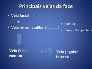 Principais veias da face
• Veia facial
+
• Veia retromandibular

Veia facial
comum

v. maxilar

v. temporal superficia

Veia jugular
interna

 