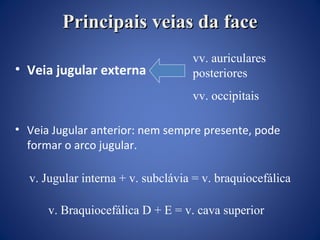 Principais veias da face
• Veia jugular externa

vv. auriculares
posteriores
vv. occipitais

• Veia Jugular anterior: nem sempre presente, pode
formar o arco jugular.
v. Jugular interna + v. subclávia = v. braquiocefálica
v. Braquiocefálica D + E = v. cava superior

 