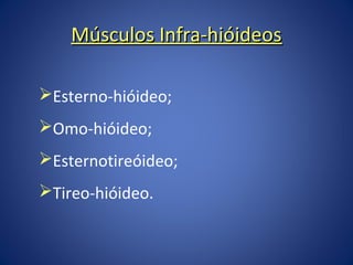 Músculos Infra-hióideos
Esterno-hióideo;
Omo-hióideo;
Esternotireóideo;
Tireo-hióideo.

 