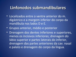 Linfonodos submandibulares
• Localizados entre o ventre anterior do m.
digástrico e a margem inferior do corpo da
mandíbula nos lados D e E.
• Grupos anterior, médio e posterior
• Drenagem dos dentes inferiores e superiores,
menos os incisivos inferiores; drenagem do
lábio superior e partes laterais do inferior,
drenagem das partes anteriores da cav. nasal
e palato e drenagem do corpo da língua.

 