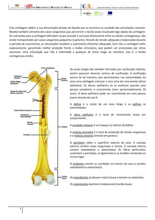Escola Secundária/3 Morgado de Mateus

CURSO PROFISSIONAL TÉCNICO DE APOIO À GESTÃO DESPORTIVA

Esta cartilagem obtém a sua alimentação através do líquido que se encontra na cavidade das articulações sinoviais.
Recebe também alimento dos vasos sanguíneos que percorrem o tecido ósseo localizado logo abaixo da cartilagem.
Os nutrientes para a cartilagem difundem-se por pressão e acúmulo diretamente entre as células cartilaginosas, não
sendo transportados por vasos sanguíneos pequenos (capilares). Através de tensão adequada e balanceada durante
o período de crescimento, as articulações recebem o suprimento alimentar adequado. Com isto, a cartilagem sofre
espessamento, garantindo melhor proteção frente a lesões articulares, que podem ser provocadas por stress
excessivo. Uma articulação que não é submetida a qualquer de stress reage ao contrário, isto é, o tecido
cartilaginoso atrofia.

Os ossos longos são também formados por ossificação indireta,
porém possuem diversos centros de ossificação. A ossificação
ocorre de tal maneira, que permanecem nas extremidades do
osso uma cartilagem articular e uma zona de crescimento (disco
epifisário). Os discos epifisários só se ossificam quando uma
pessoa completou o crescimento (com aproximadamente 20
anos). O disco epifisário pode ser reconhecido em uma pessoa
jovem através do raio X.
A diáfise é o corpo de um osso longo e as epífises as
extremidades.
A placa epifisária é o local de crescimento ósseo em
comprimento.
A cavidade medular é um espaço no interior da diáfise.
A medula vermelha é o local de produção de células sanguíneas
e a medula amarela consiste em gordura.
O periósteo cobre a superfície externa do osso. A camada
externa contém vasos sanguíneos e nervos. A camada interna
contém osteoblastos e osteoclastos. As fibras perfurantes
sustentam o periósteo, os ligamentos e os tendões mantendo-os
no seu lugar.
O endósteo reveste as cavidades no interior do osso e contém
osteoblastos e osteoclastos.

Os osteoblastos produzem matriz óssea e tornam-se osteócitos.
Os osteoclastos destroem (reabsorvem) tecido ósseo.

3

 