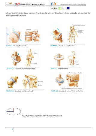 Escola Secundária/3 Morgado de Mateus

CURSO PROFISSIONAL TÉCNICO DE APOIO À GESTÃO DESPORTIVA

o leque de movimentos quase a um movimento de charneira em dois planos e limita a rotação. Um exemplo é a
articulação atlanto-occipital.

Fig. - A forma do elipsóide é definida pelo achatamento.

9

 