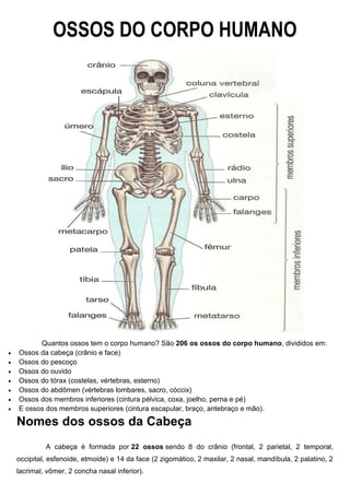 OSSOS DO CORPO HUMANO
Quantos ossos tem o corpo humano? São 206 os ossos do corpo humano, divididos em:
 Ossos da cabeça (crânio e face)
 Ossos do pescoço
 Ossos do ouvido
 Ossos do tórax (costelas, vértebras, esterno)
 Ossos do abdômen (vértebras lombares, sacro, cóccix)
 Ossos dos membros inferiores (cintura pélvica, coxa, joelho, perna e pé)
 E ossos dos membros superiores (cintura escapular, braço, antebraço e mão).
Nomes dos ossos da Cabeça
A cabeça é formada por 22 ossos sendo 8 do crânio (frontal, 2 parietal, 2 temporal,
occipital, esfenoide, etmoide) e 14 da face (2 zigomático, 2 maxilar, 2 nasal, mandíbula, 2 palatino, 2
lacrimal, vômer, 2 concha nasal inferior).
 