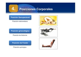 Anatomía Humana
Manuel Arrelucea Delgado
Posiciones Corporales
Posición Genupectoral
Posición ginecológica
Posición mahometana
Posición de litotomía
4.
Posición de Fowler
Posición quirúrgica
 