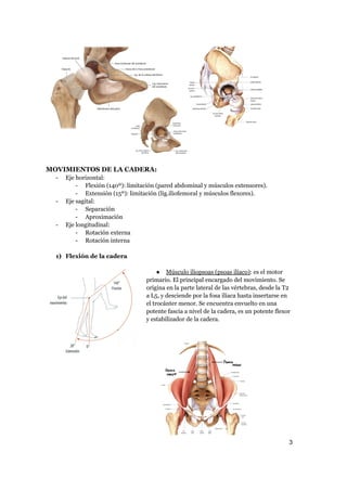 MOVIMIENTOS DE LA CADERA:
- Eje horizontal:
- Flexión (140º): limitación (pared abdominal y músculos extensores).
- Extensión (15º): limitación (lig.iliofemoral y músculos flexores).
- Eje sagital:
- Separación
- Aproximación
- Eje longitudinal:
- Rotación externa
- Rotación interna
1) Flexión de la cadera
● Músculo iliopsoas (psoas ilíaco): es el motor
primario. El principal encargado del movimiento. Se
origina en la parte lateral de las vértebras, desde la T2
a L5, y desciende por la fosa ilíaca hasta insertarse en
el trocánter menor. Se encuentra envuelto en una
potente fascia a nivel de la cadera, es un potente flexor
y estabilizador de la cadera.
3
a64b0469ff35958ef4ab887a898bd50bdfbbe91a-6544164
 