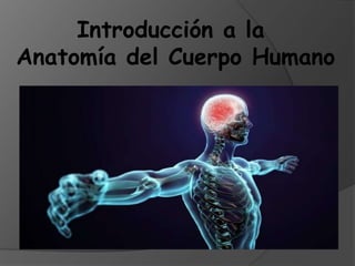 Introducción a la
Anatomía del Cuerpo Humano
 