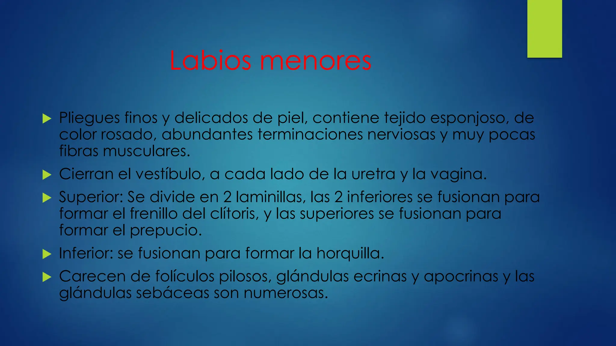 Labiaos ANATOMIA de los órganos genitales de la mujer | PDF
