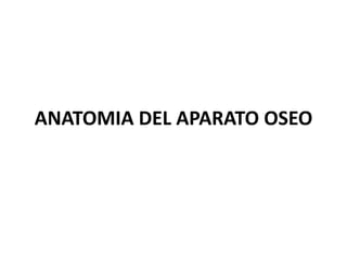 ANATOMIA DEL APARATO OSEO
 