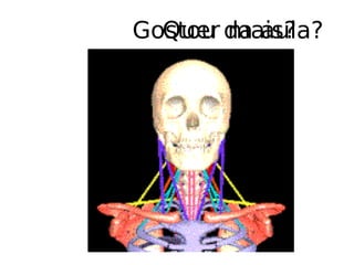 Quer mais?
Gostou da aula?
 