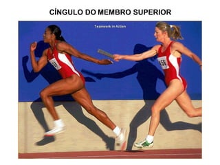 CÍNGULO DO MEMBRO SUPERIOR
 