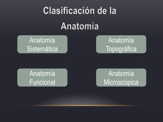 Anatomía
Sistemática
Anatomía
Topográfica
Anatomía
Funcional
Anatomía
Microscópica
 