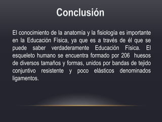 El conocimiento de la anatomía y la fisiología es importante
en la Educación Física, ya que es a través de él que se
puede saber verdaderamente Educación Física. El
esqueleto humano se encuentra formado por 206 huesos
de diversos tamaños y formas, unidos por bandas de tejido
conjuntivo resistente y poco elásticos denominados
ligamentos.
 