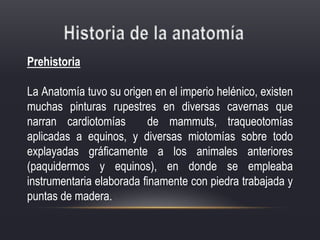 Prehistoria
La Anatomía tuvo su origen en el imperio helénico, existen
muchas pinturas rupestres en diversas cavernas que
narran cardiotomías de mammuts, traqueotomías
aplicadas a equinos, y diversas miotomías sobre todo
explayadas gráficamente a los animales anteriores
(paquidermos y equinos), en donde se empleaba
instrumentaria elaborada finamente con piedra trabajada y
puntas de madera.
 