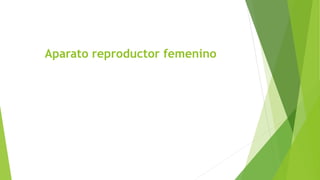 Aparato reproductor femenino
 