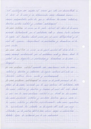 Anatomia arterias-ilovepdf-compressed