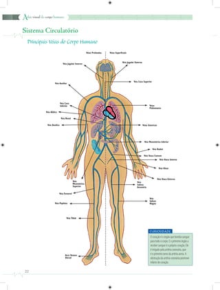 Anatomia - Atlas Visual do Corpo Humano.PDF