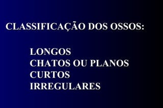 CLASSIFICAÇÃO DOS OSSOS: LONGOS CHATOS OU PLANOS CURTOS IRREGULARES 