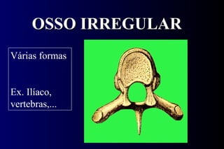 OSSO IRREGULAR Várias formas Ex. Ilíaco, vertebras,... 