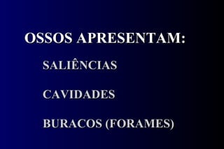 OSSOS APRESENTAM: SALIÊNCIAS CAVIDADES BURACOS (FORAMES) 