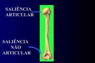 SALIÊNCIA ARTICULAR SALIÊNCIA NÃO ARTICULAR 