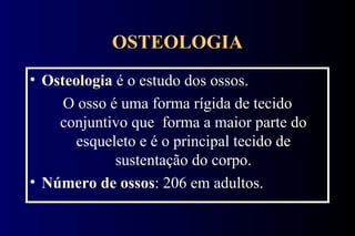OSTEOLOGIA Osteologia  é o estudo dos ossos. O osso é uma forma rígida de tecido conjuntivo que  forma a maior parte do esqueleto e é o principal tecido de sustentação do corpo. Número de ossos : 206 em adultos. 