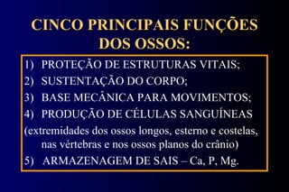 CINCO PRINCIPAIS FUNÇÕES DOS OSSOS: PROTEÇÃO DE ESTRUTURAS VITAIS; SUSTENTAÇÃO DO CORPO; BASE MECÂNICA PARA MOVIMENTOS; PRODUÇÃO DE CÉLULAS SANGUÍNEAS  (extremidades dos ossos longos, esterno e costelas, nas vértebras e nos ossos planos do crânio) 5)  ARMAZENAGEM DE SAIS – Ca, P, Mg. 